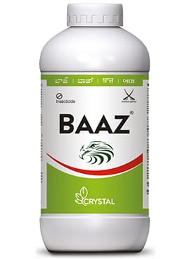 Baaz