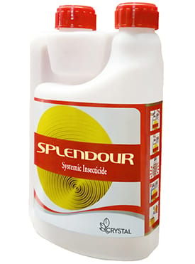 Splendour