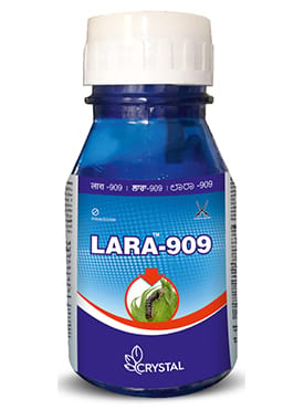 Lara-909