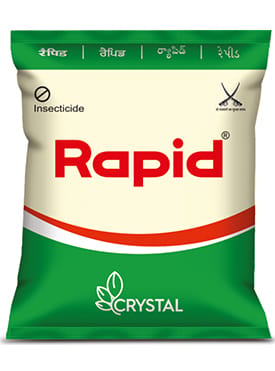 Rapid