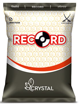 Record
