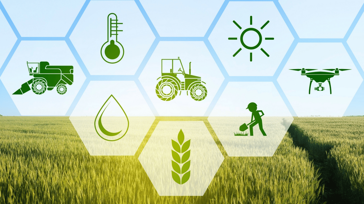 The Digital Harvest: How Kisanio is Empowering the Modern Farmer