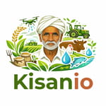 Kisanio Kisanio