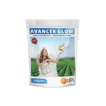 UPL Avancer Glow Fungicide (Azoxystrobin 8.3% + Mancozeb 64.7% WG)