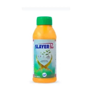 GSP Slayer Pro Insecticide (Thiamethoxam 30% FS Seed Treatment) GSP Slayer Pro Insecticide (Thiamethoxam 30% FS Seed Treatment)
