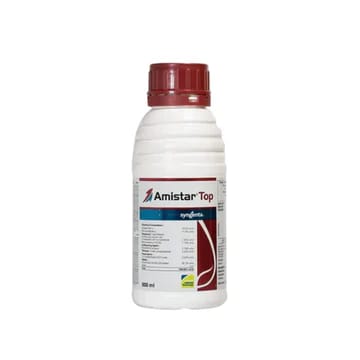 Syngenta Amstar Top Fungicide (Azoxystrobin 18.2% + Difenoconazole 11.4% SC) Syngenta Amstar Top Fungicide (Azoxystrobin 18.2% + Difenoconazole 11.4% SC)