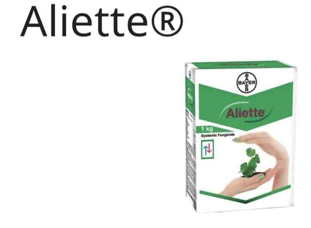 Bayer Aliette Fungicide (Fosetyl-Al 80% WP) Bayer Aliette Fungicide (Fosetyl-Al 80% WP)