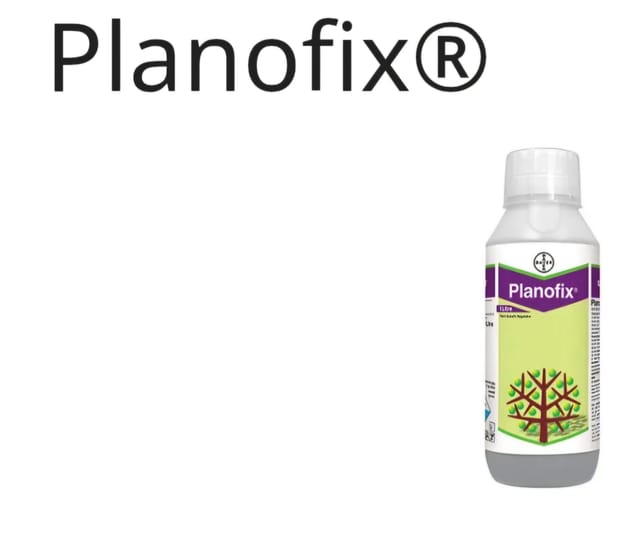 Bayer Planofix Plant Growth Regulator (Alpha Naphthyl Acetic Acid 4.5% SL) Bayer Planofix Plant Growth Regulator (Alpha Naphthyl Acetic Acid 4.5% SL)