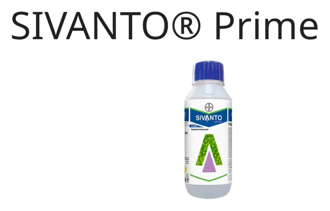 Bayer Sivanto Prime Insecticide (Flupyradifurone 200 g/L SL)