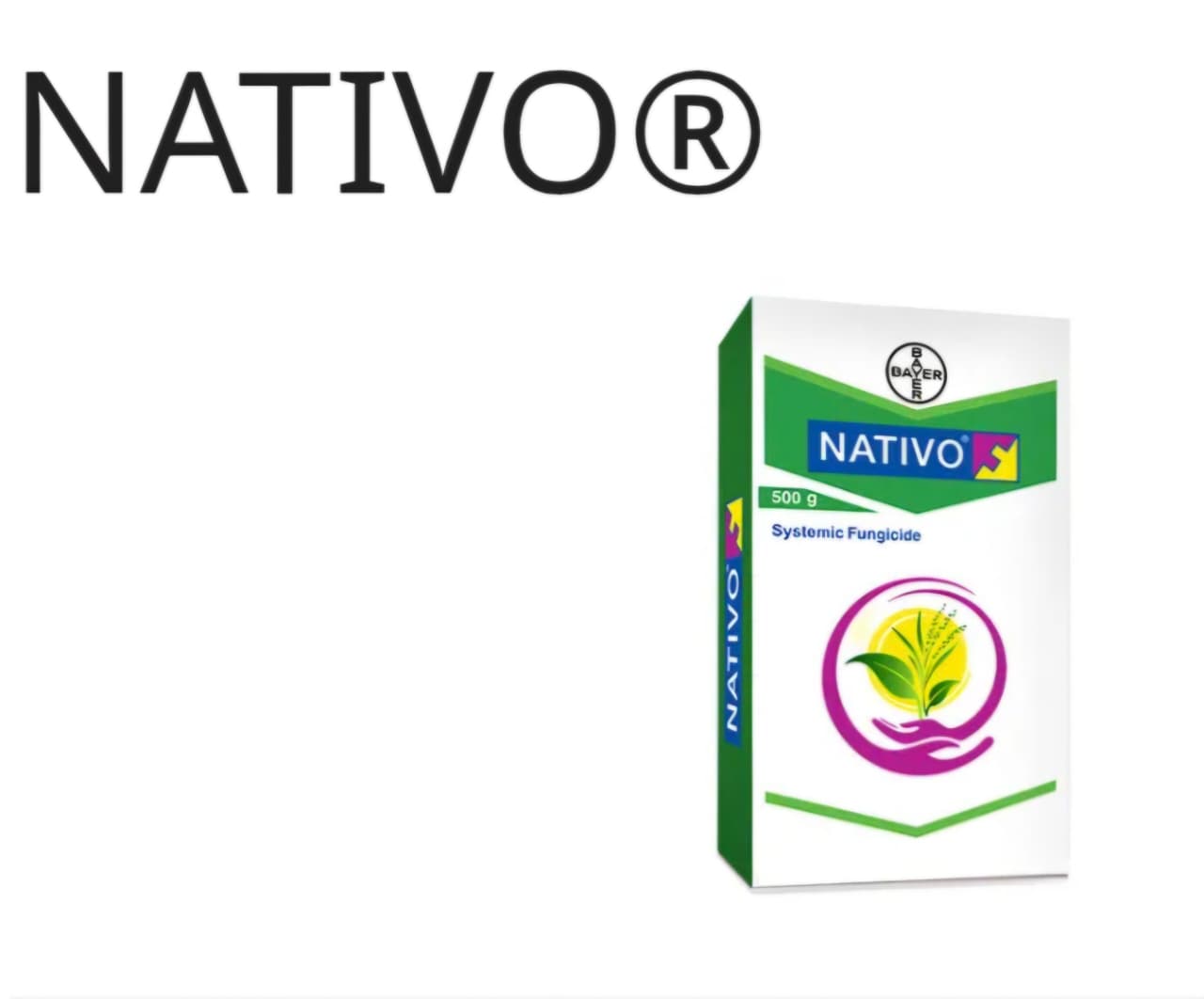 Bayer Nativo Fungicide (Tebuconazole 50% + Trifloxystrobin 25% WG)