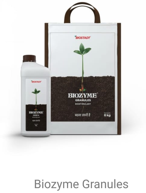 Biostadt Biozyme Granules Bio-Fertilizer