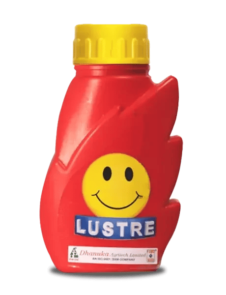 Dhanuka Lustre Fungicide (Flusilazole 12.5% + Carbendazim 25% SE)