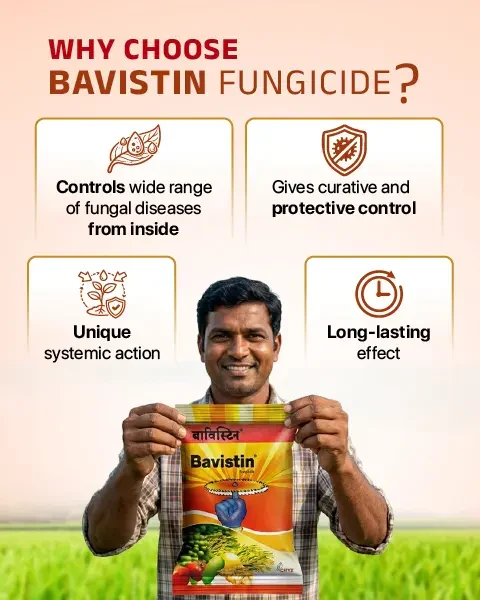 Crystal Bavistin Fungicide (Carbendazim 50% WP)