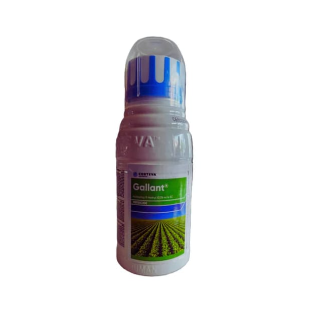 Gallant Herbicide (Haloxyfop-P-Methyl 10.5% EC) Gallant Herbicide (Haloxyfop-P-Methyl 10.5% EC)
