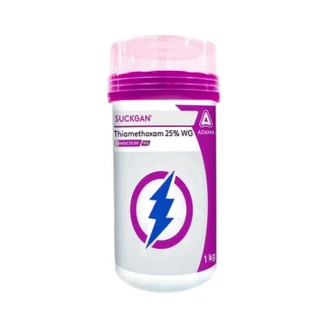 Suckgan Insecticide (Thiamethoxam 25% WG)
