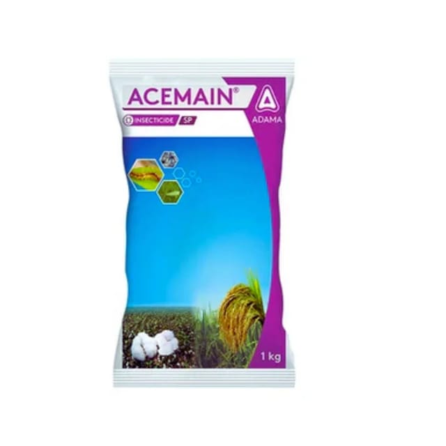 Acemain Insecticide (Acephate 75% SP)