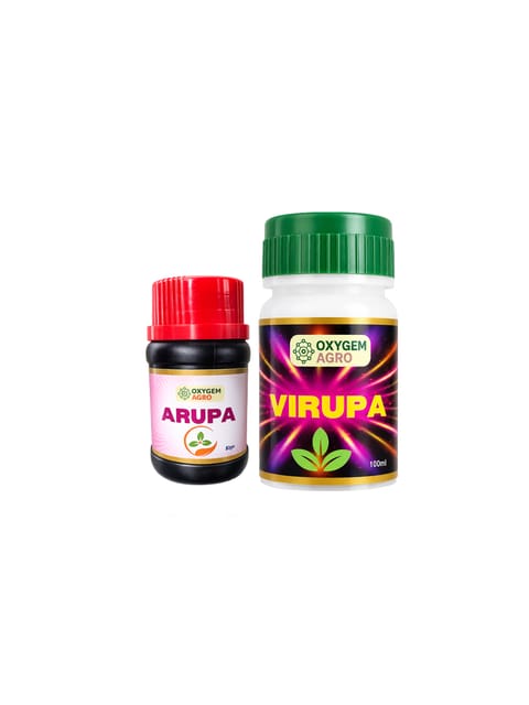 ARUPA + VIRUPA COMBO