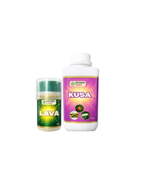 LAVA + KUSA LAVA + KUSA