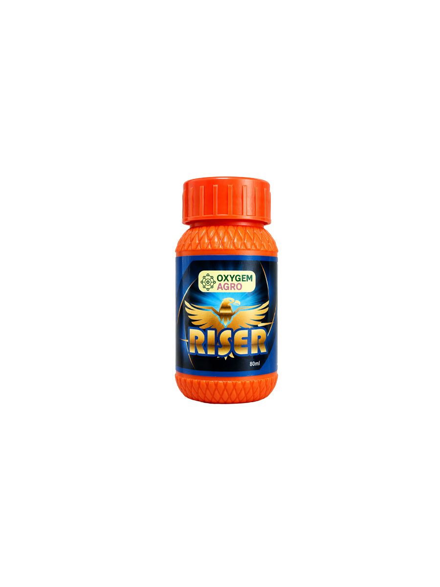 Riser
