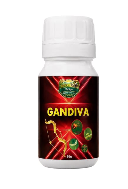 GANDIVA GANDIVA