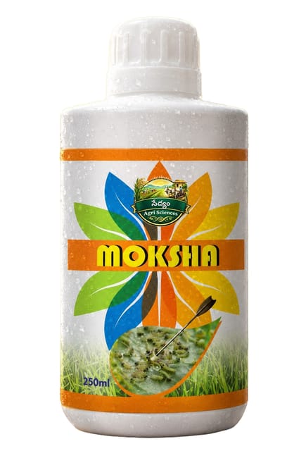MOKSHA MOKSHA