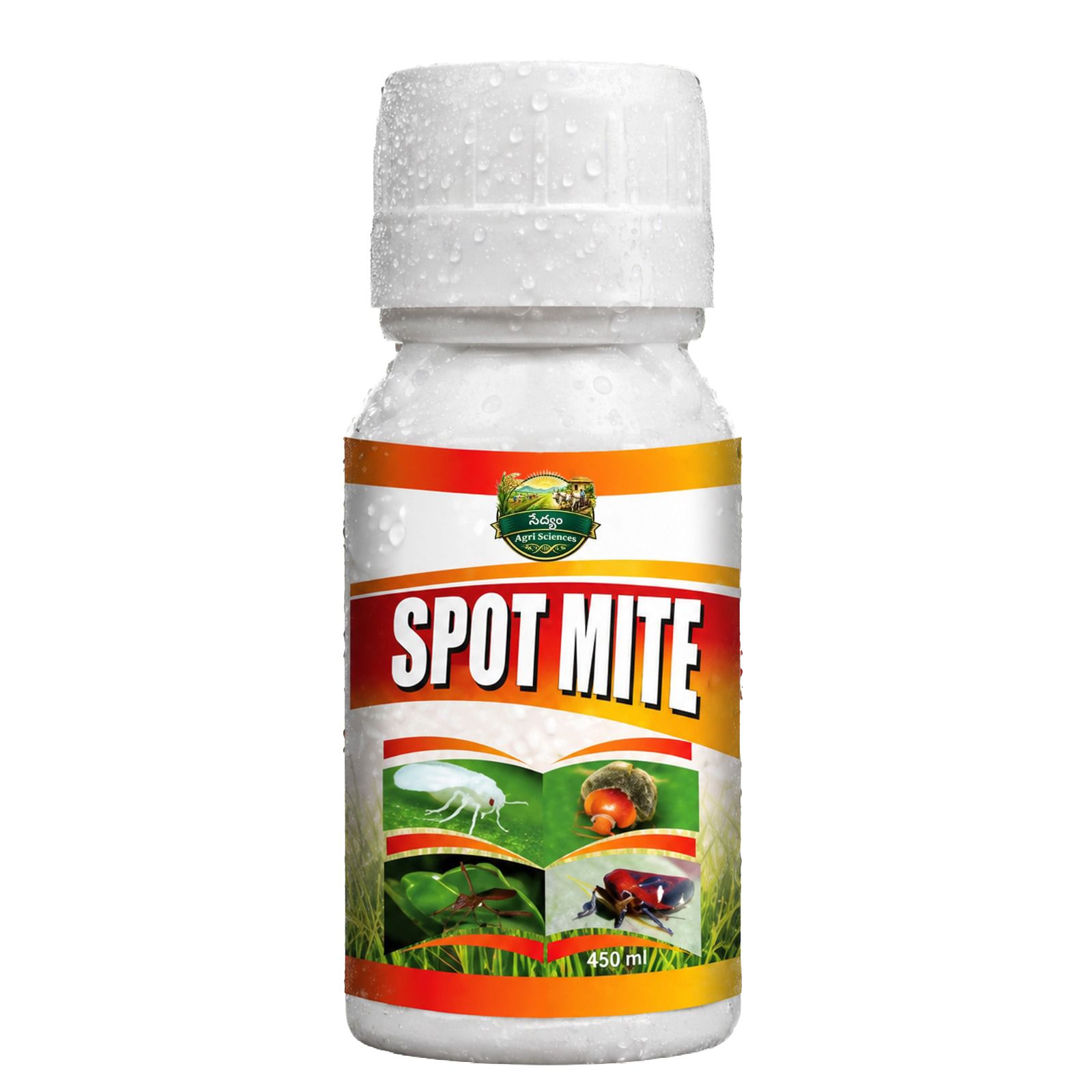 Spot Mite