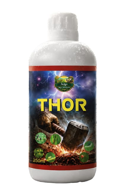 THOR THOR