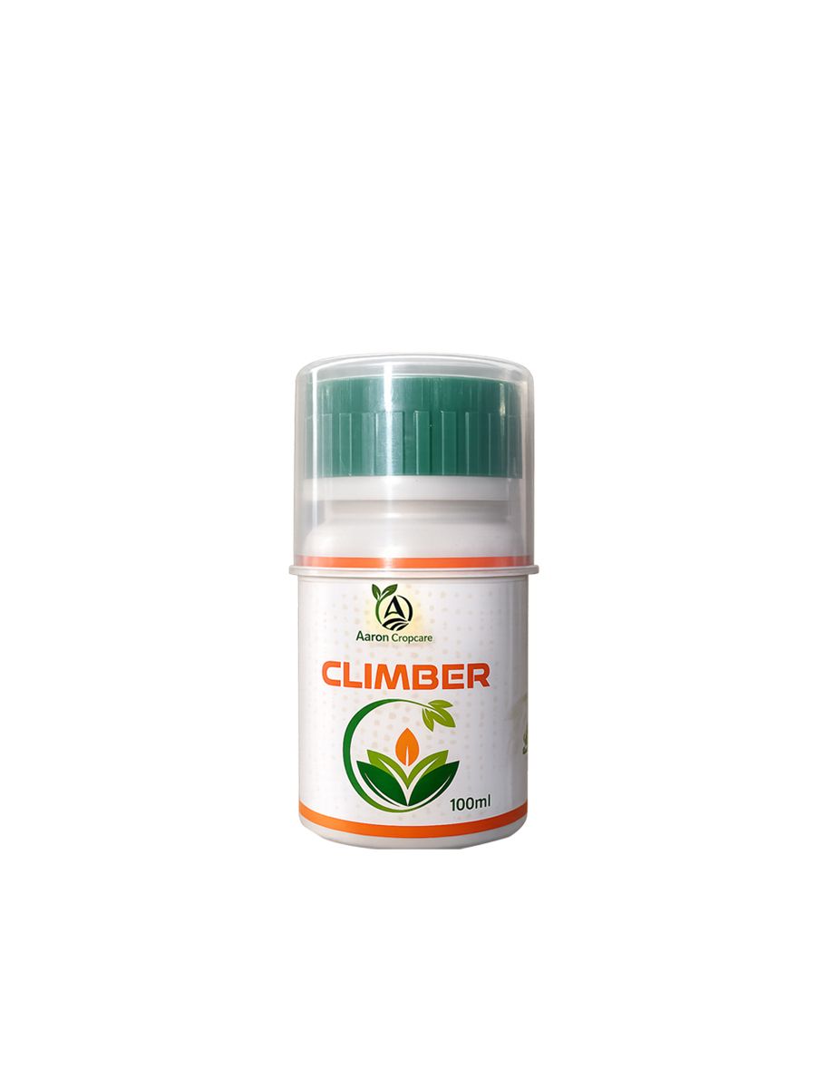 CLIMBER