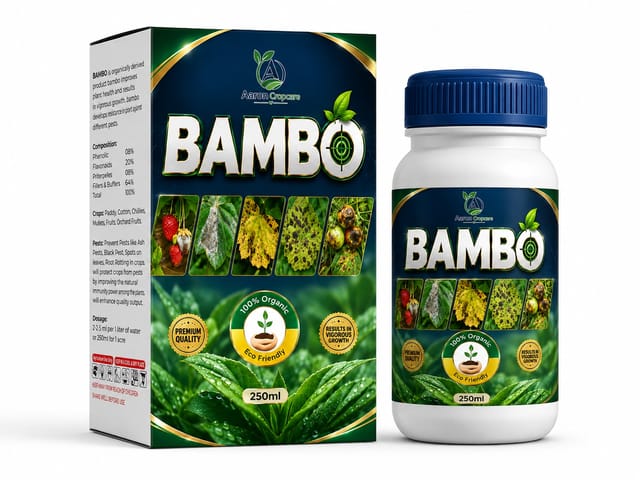 BAMBO