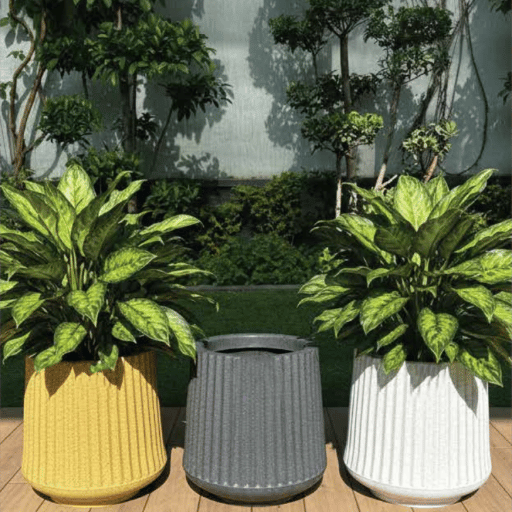 Alpine Fiber Planter