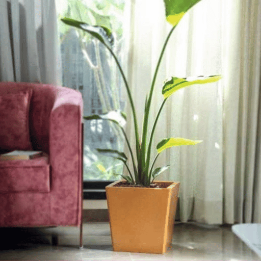 Bent Block Fiber Planter