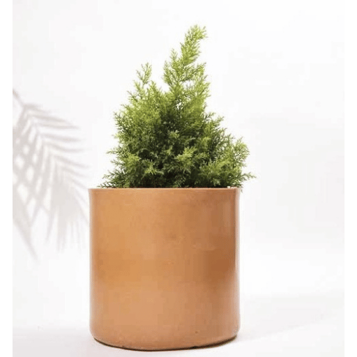 Cup Fiber Planter