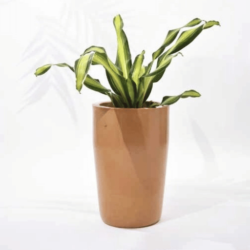 Cylindro Fiber Planters