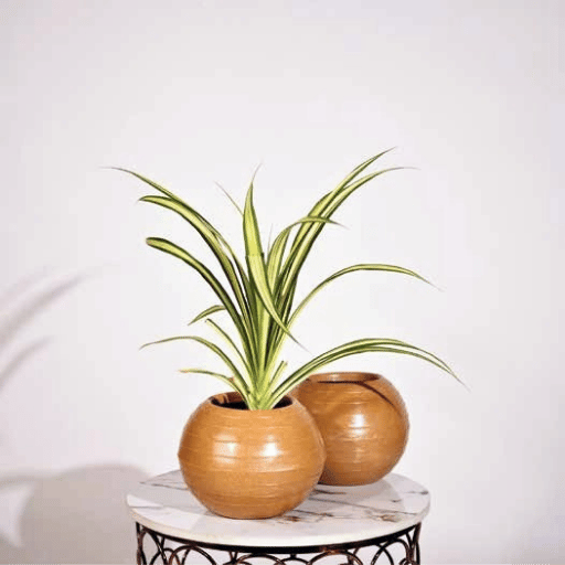 Rib Bowl Fiber Planter
