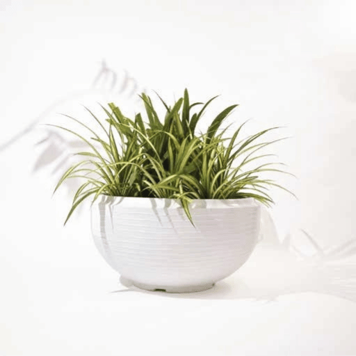 Rib Tasla Fiber Planters