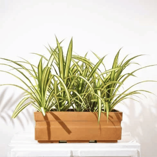 Trow Rectangular Fiber Planters